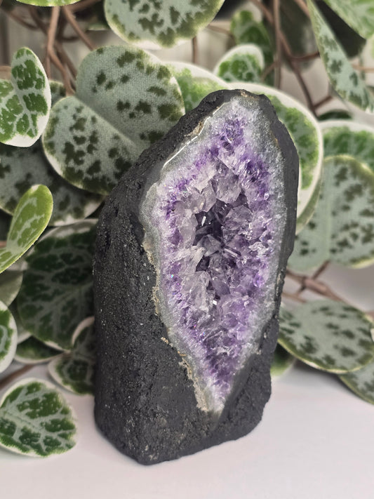 Amethyst Cathedral 263g