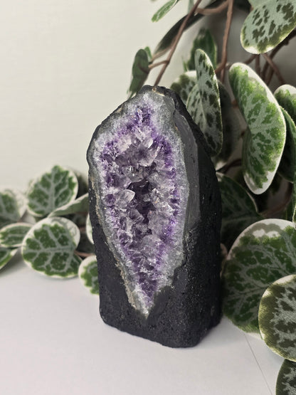 Amethyst Cathedral 263g
