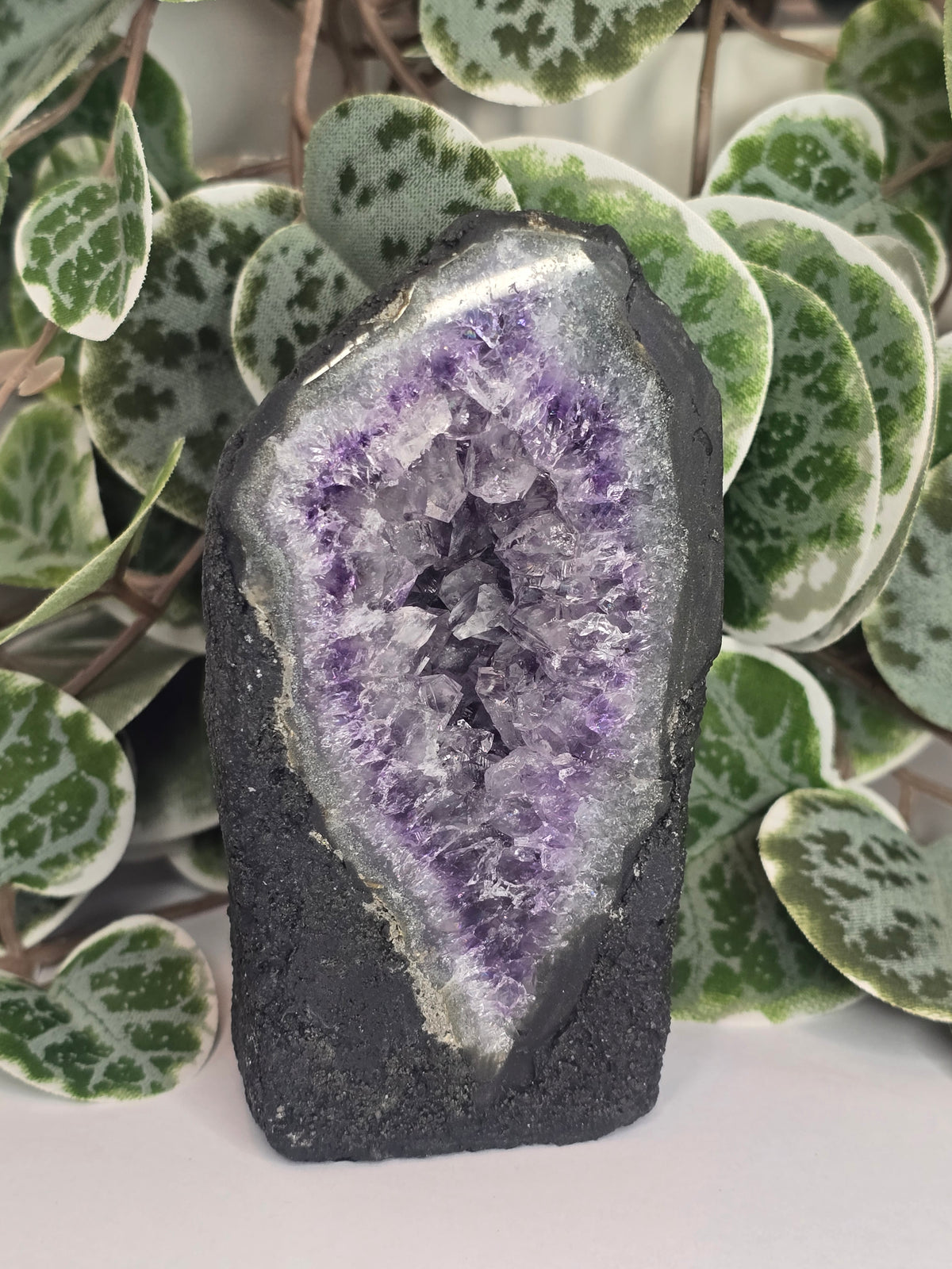 Amethyst Cathedral 263g