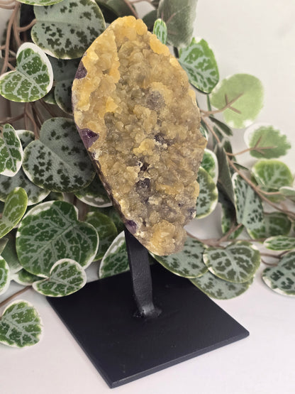 Amethyst Free Form Cluster on Stand 528g