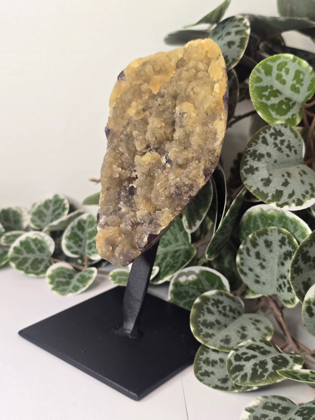 Amethyst Free Form Cluster on Stand 528g