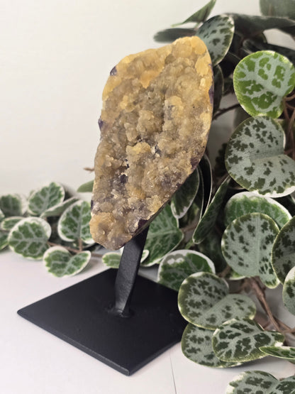 Amethyst Free Form Cluster on Stand 528g