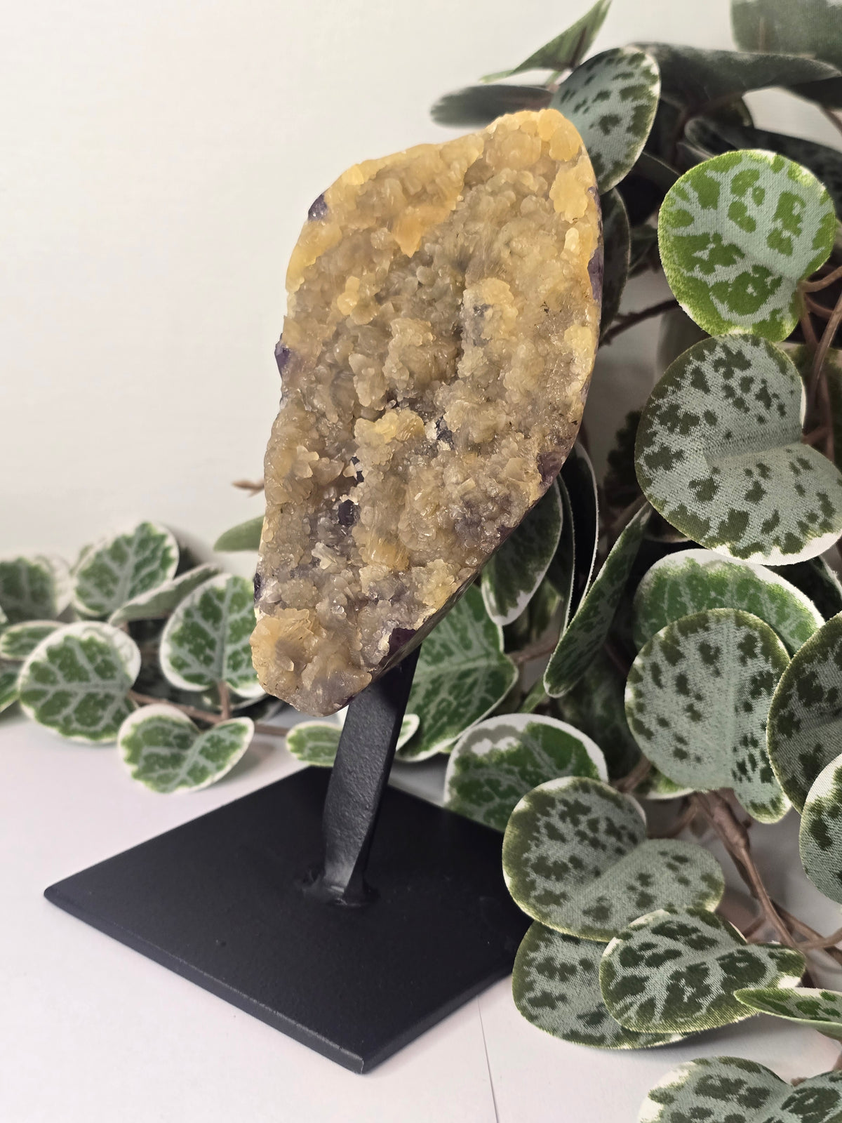 Amethyst Free Form Cluster on Stand 528g