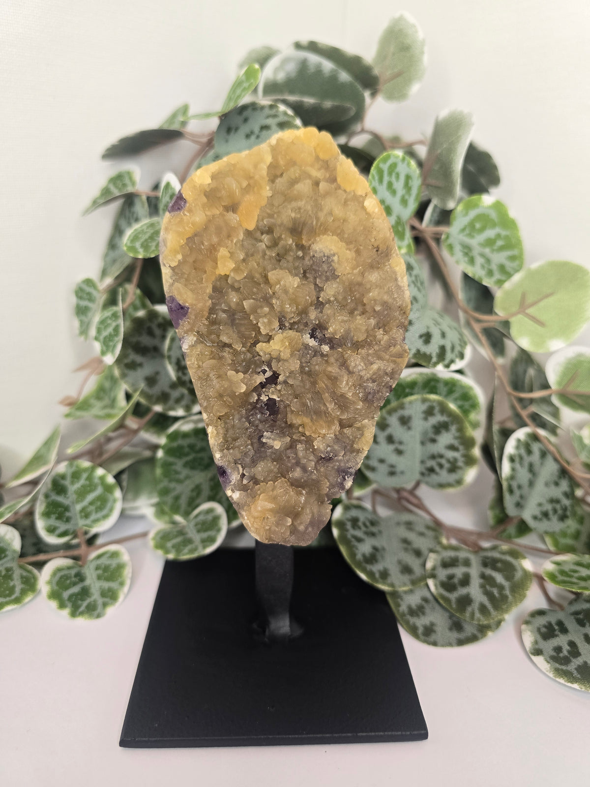 Amethyst Free Form Cluster on Stand 528g
