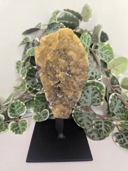 Amethyst Free Form Cluster on Stand 528g