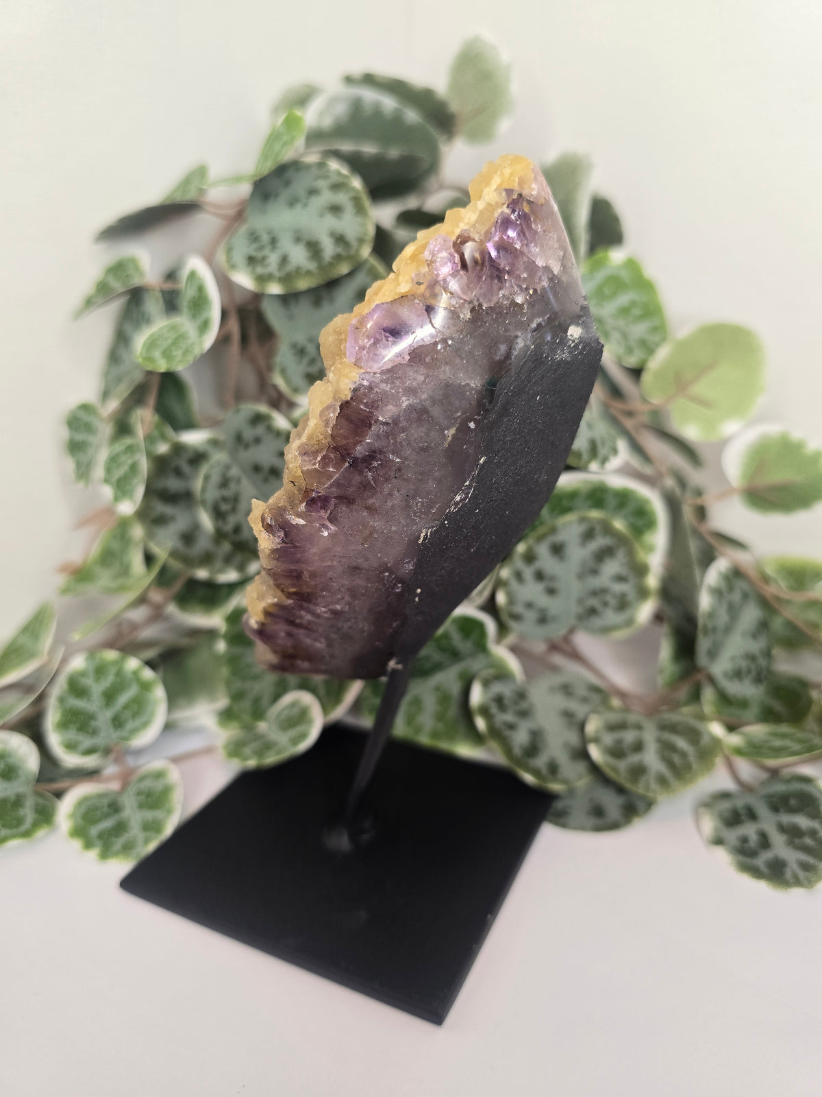 Amethyst Free Form Cluster on Stand 528g
