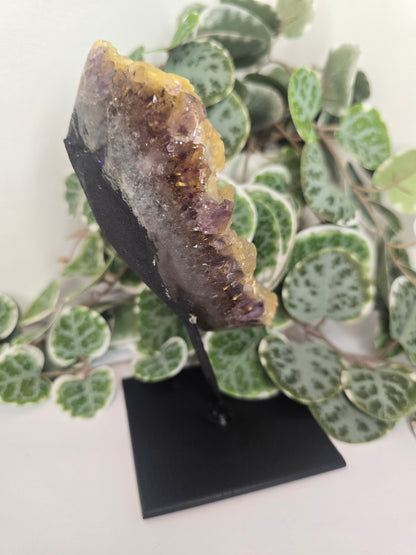 Amethyst Free Form Cluster on Stand 528g