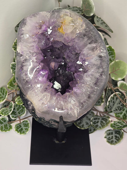 Amethyst Free Form Cluster on Stand 3.08kg