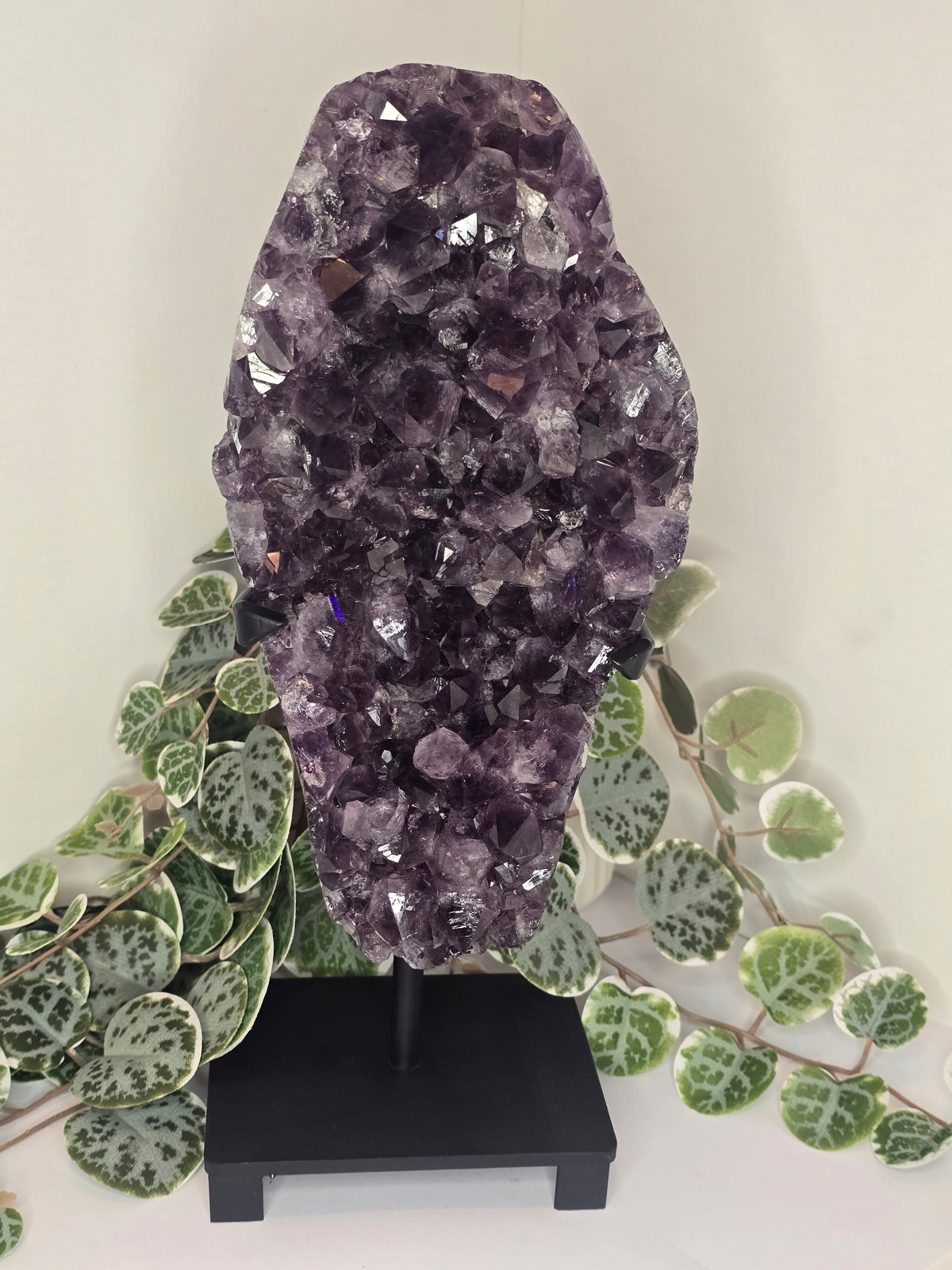 Amethyst Free Form Cluster on Stand 4.08kg