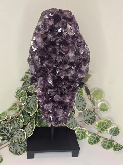 Amethyst Free Form Cluster on Stand 4.08kg