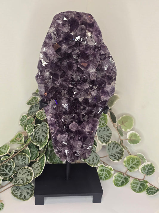 Amethyst Free Form Cluster on Stand 4.08kg