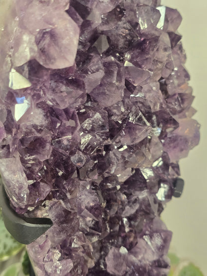 Amethyst Free Form Cluster on Stand 4.08kg