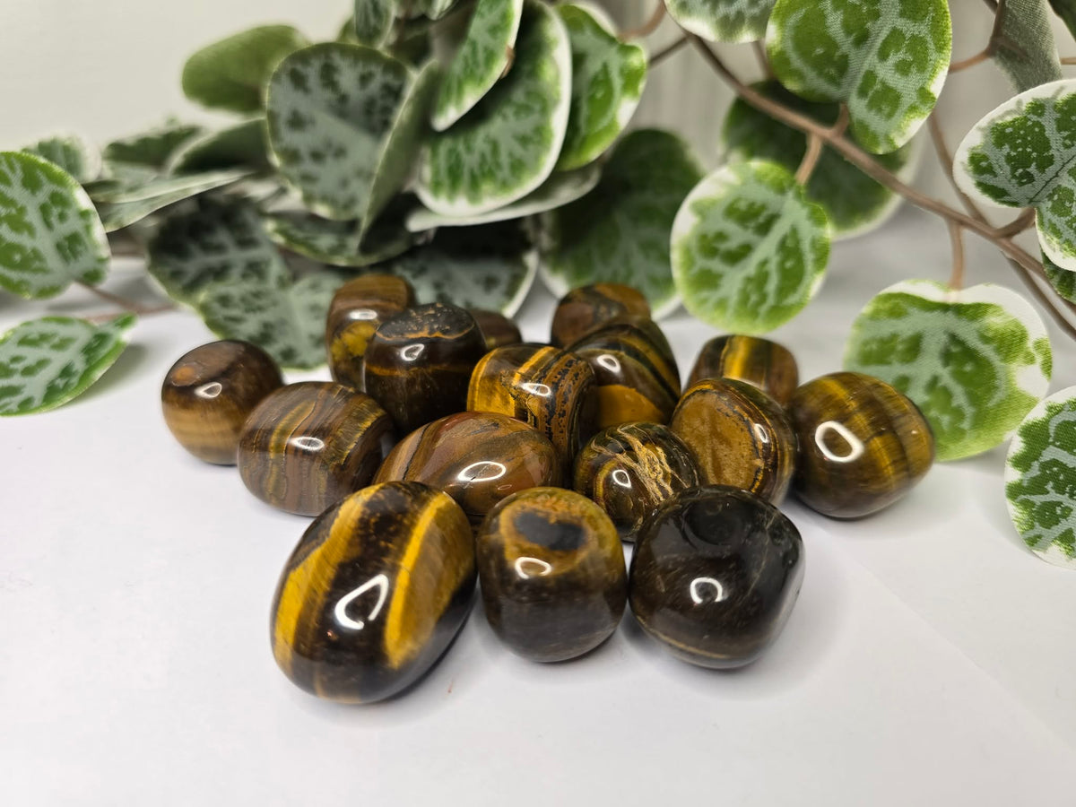 Tigers Eye Tumbles 20g
