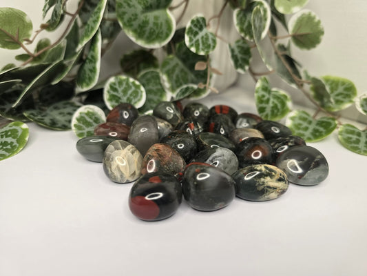 African Bloodstone Tumbles 16g