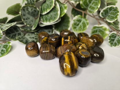 Tigers Eye Tumbles 20g