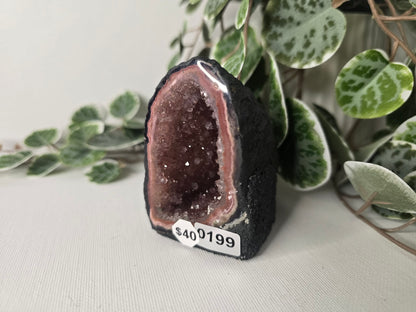 Rainbow Amethyst Mini Cathedral 228g