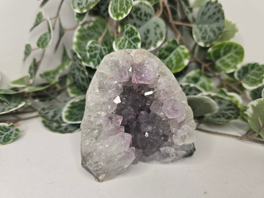 Amethyst Cut Base 509g