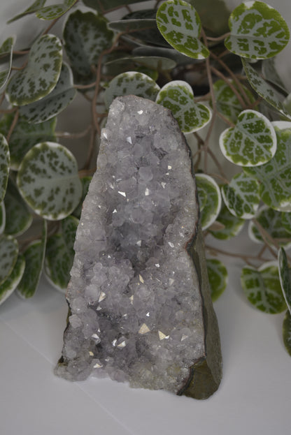 Amethyst Cut Base 750g
