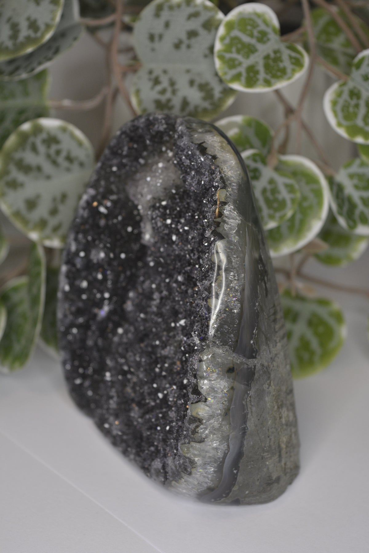 Black Amethyst Cut Base 620g