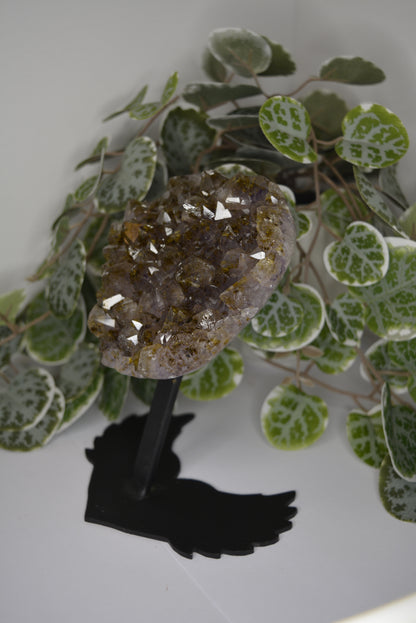 Amethyst Free Form Cluster on Stand 685g
