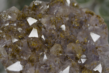Amethyst Free Form Cluster on Stand 685g
