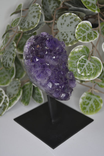 Amethyst Free Form Cluster on Stand 428g