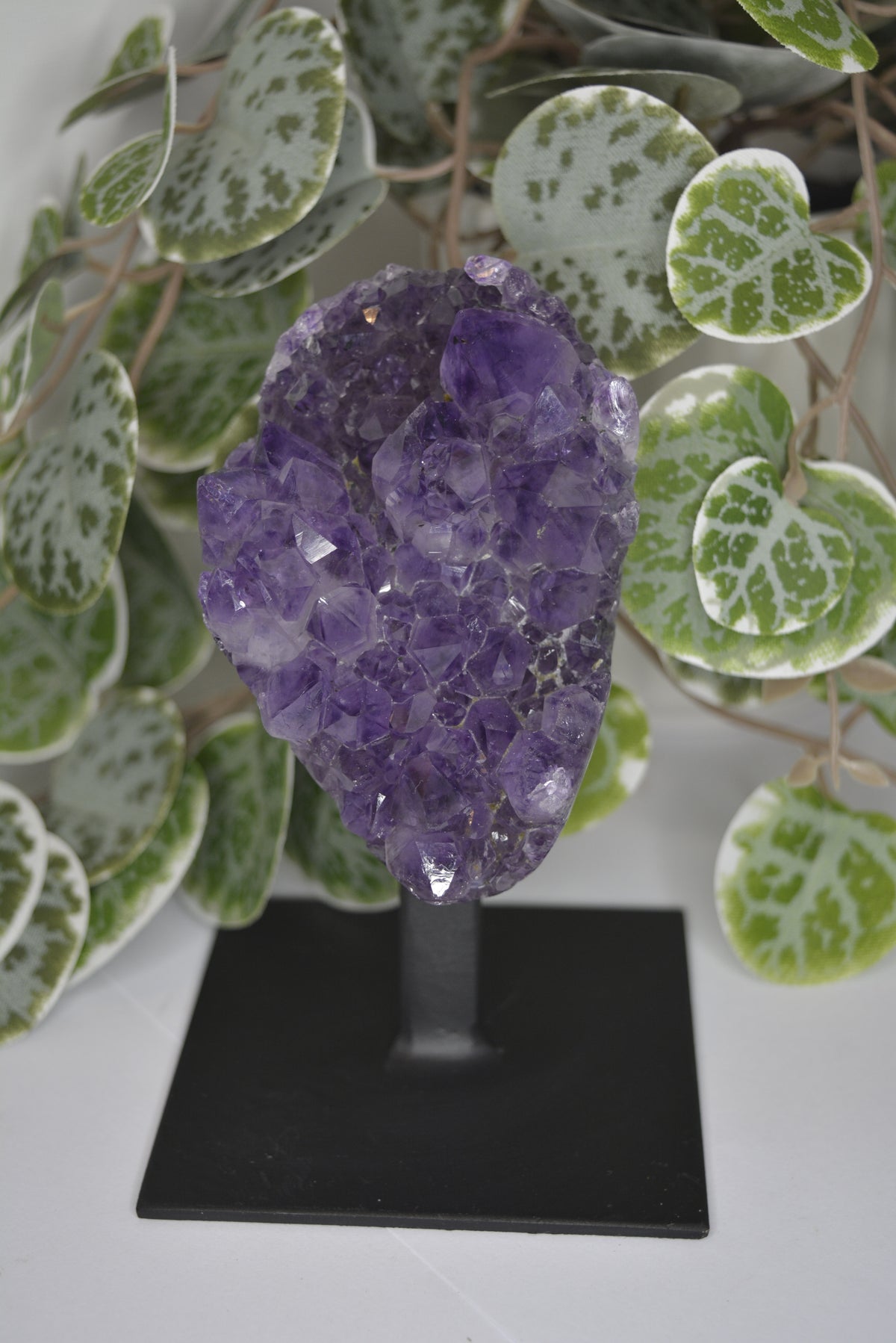 Amethyst Free Form Cluster on Stand 428g
