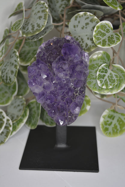 Amethyst Free Form Cluster on Stand 428g