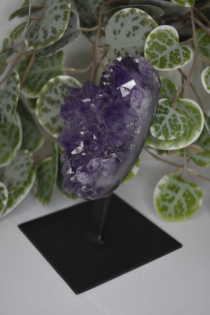 Amethyst Free Form Cluster on Stand 428g