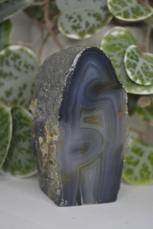 Agate Slab Polished Face 327g