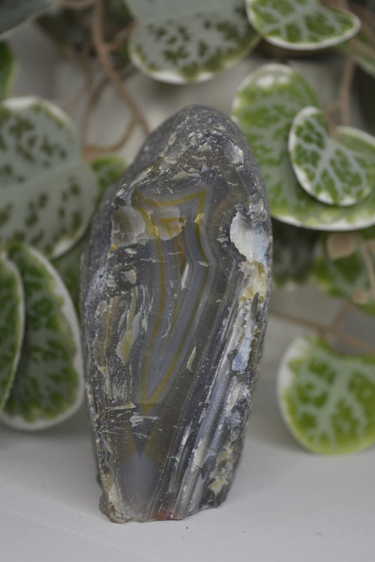 Agate Slab Polished Face 327g