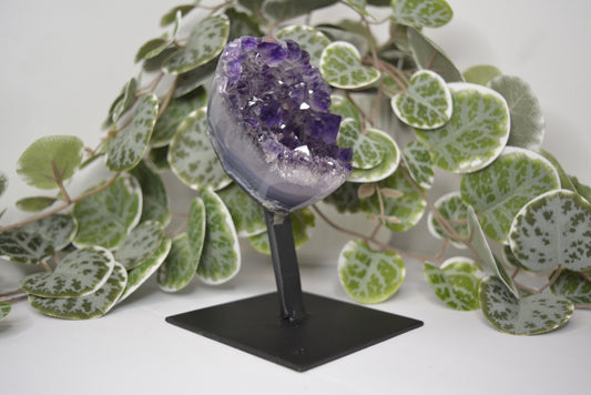 Amethyst Free Form Cluster on Stand 399g