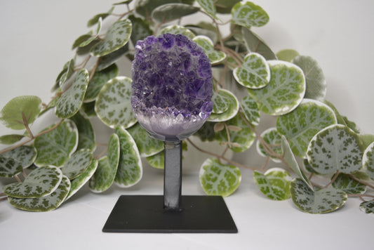 Amethyst Free Form Cluster on Stand 399g