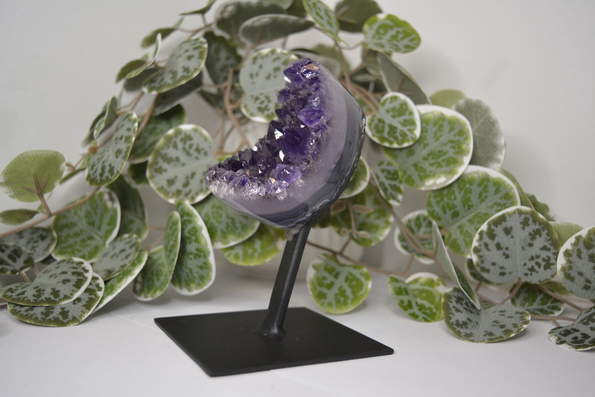 Amethyst Free Form Cluster on Stand 399g