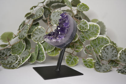 Amethyst Free Form Cluster on Stand 399g