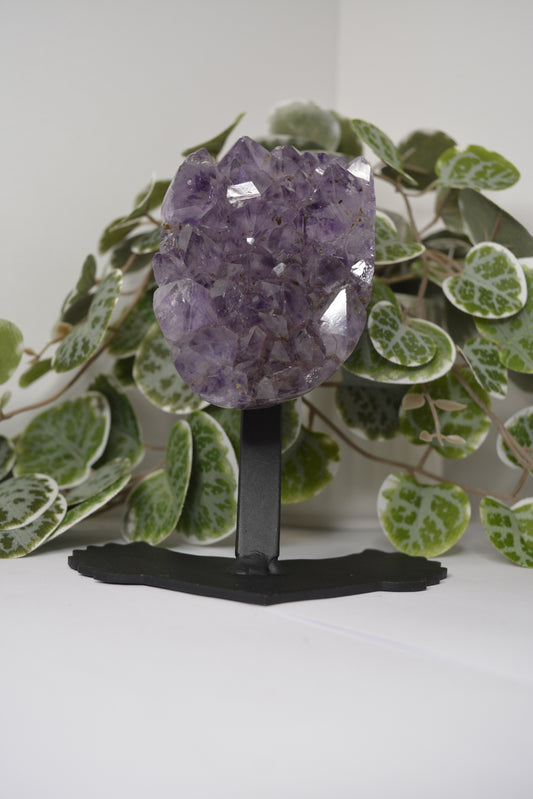 Amethyst Free Form Cluster on Stand 553g