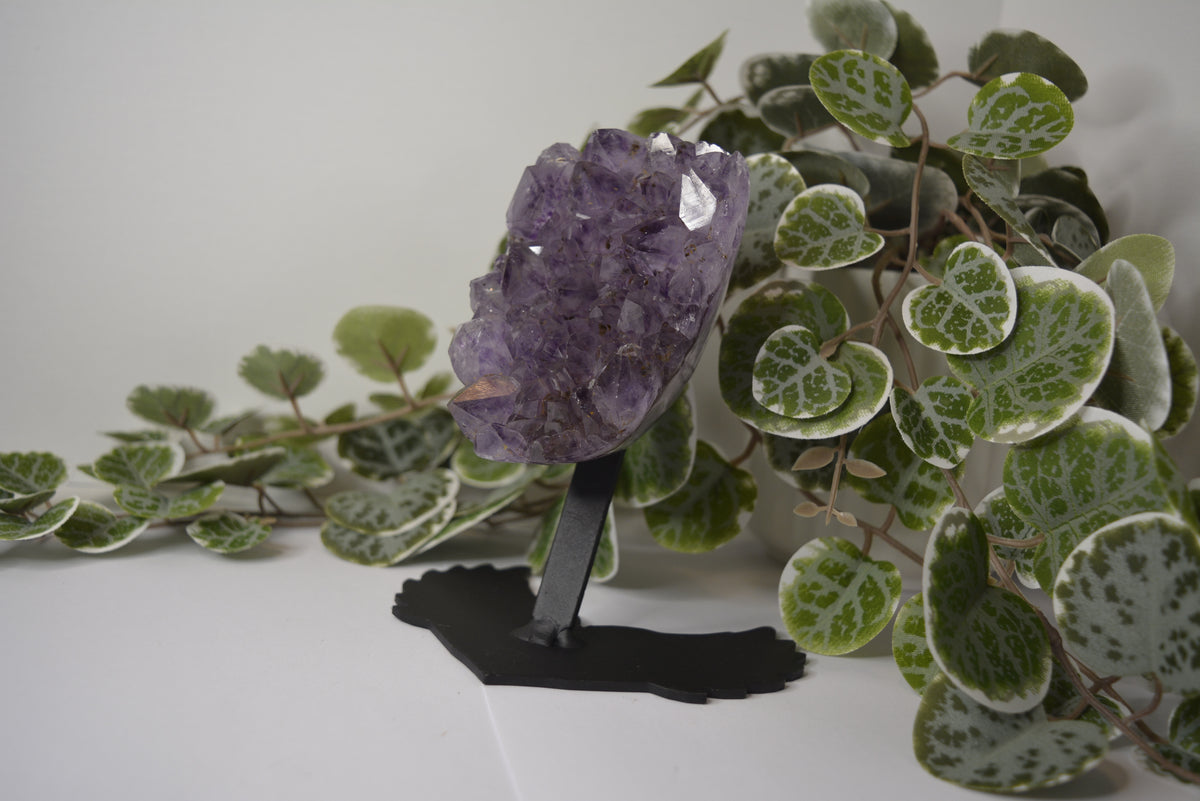 Amethyst Free Form Cluster on Stand 553g