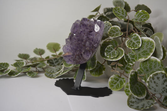 Amethyst Free Form Cluster on Stand 553g