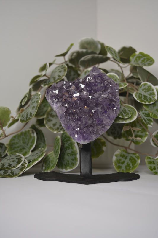 Amethyst Free Form Cluster on Stand 484g