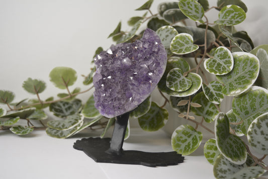 Amethyst Free Form Cluster on Stand 484g