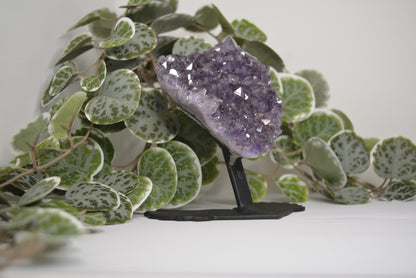 Amethyst Free Form Cluster on Stand 484g