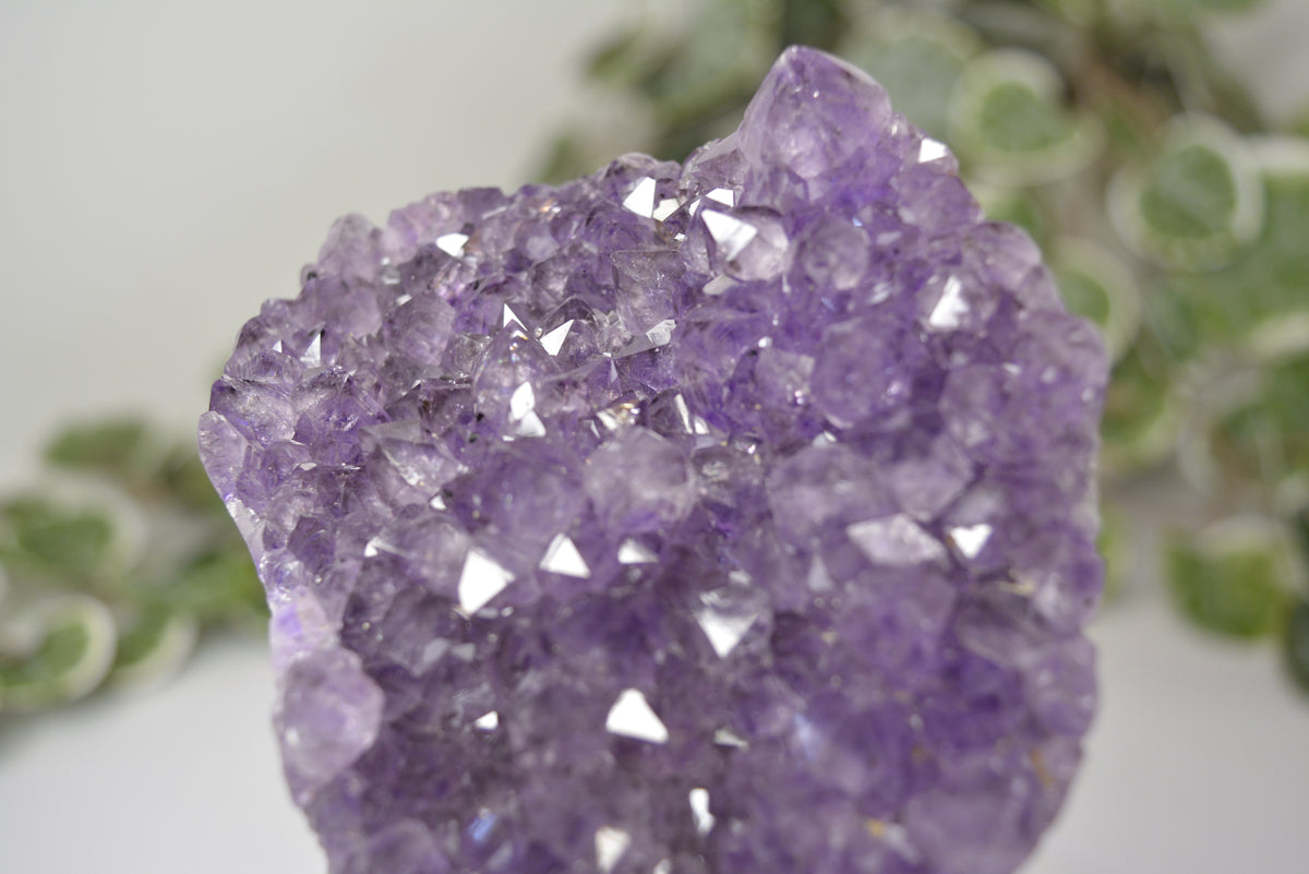 Amethyst Free Form Cluster on Stand 484g