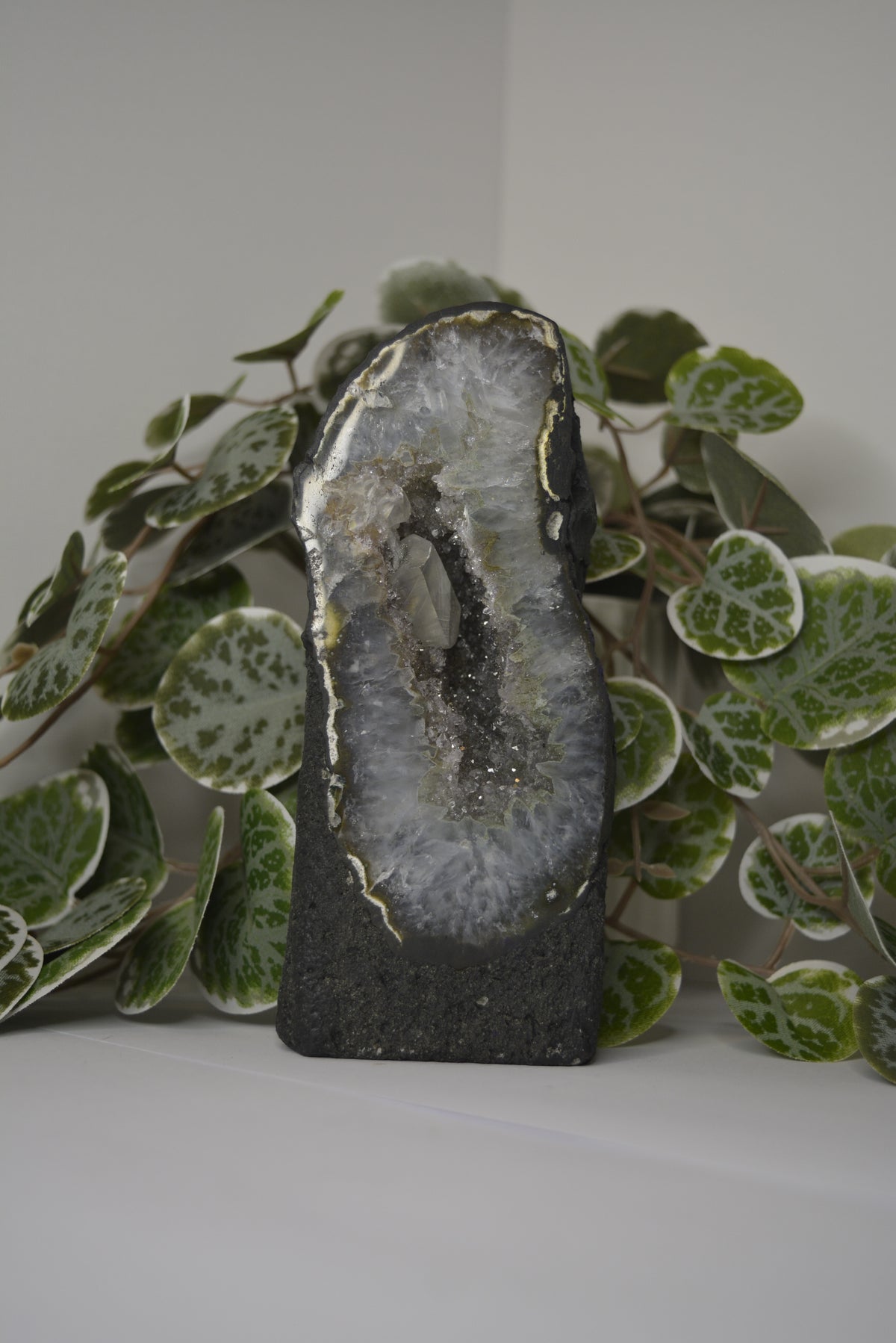 Amethyst Cathedral 569g