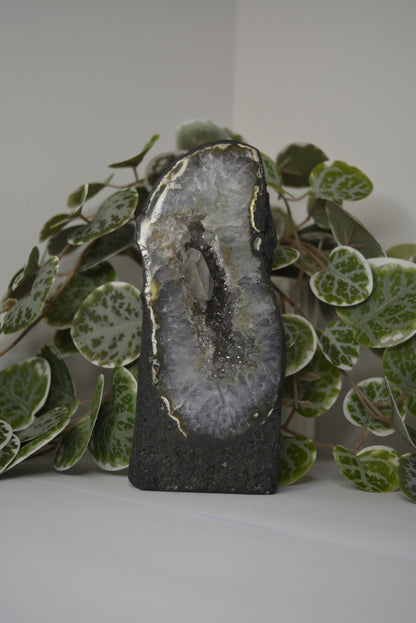 Amethyst Cathedral 569g