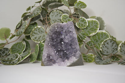 Amethyst Cut Base 692g