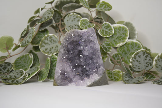 Amethyst Cut Base 692g