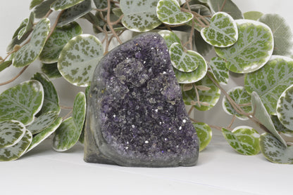 Amethyst Cut Base 335g