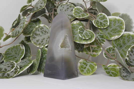 Agate Free Form 244g