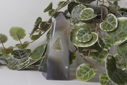 Agate Free Form 244g