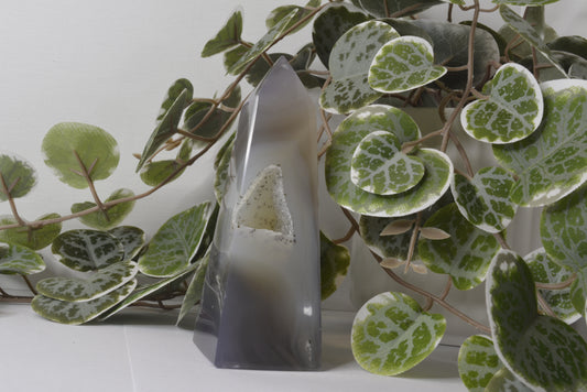 Agate Free Form 244g